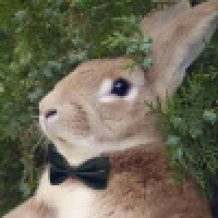 植发星杰克逊108