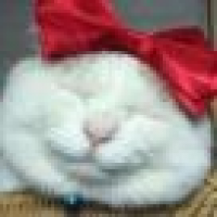 植发星主流刷粉团192