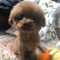 植发星APEC的蓝天