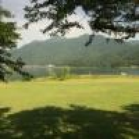 植发星可耐的张小姐