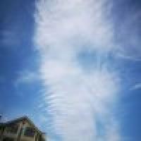 植发星jhqrans32660