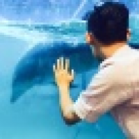 植发星大泉纱烦