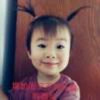 植发星折翅的小乌