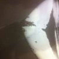 植发星书语含香