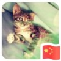 植发星Natalie Lau