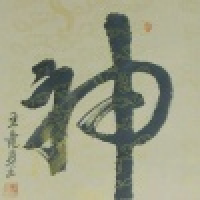 植发星小萌猫爱大黑背