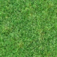 植发星ZQ诸葛玉兔东升