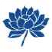 植发星七叶草05