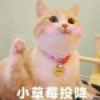 植发星长白山刺猪