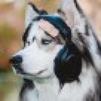 植发星shisen122121