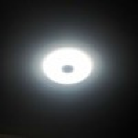 植发星睡懒觉的猫