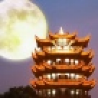 植发星要努力的莹