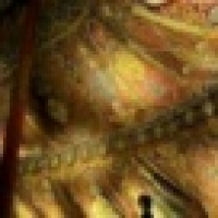 植发星齐家用户x9ZgBiitgV