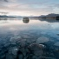 植发星Ada兔兔p3