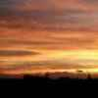 植发星萌小殇7142