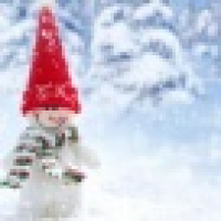 植发星Lil_Nothing