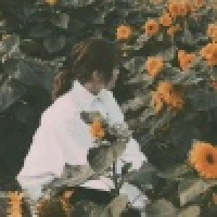 植发星疯子信誉119