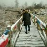 植发星随心破旋