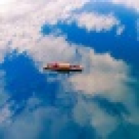 植发星小聪用的0241