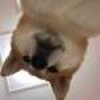 植发星齐家用户TGp4eAMSux