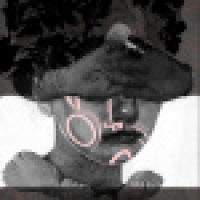 植发星我是一个老先生