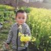 植发星1520LK梵音407