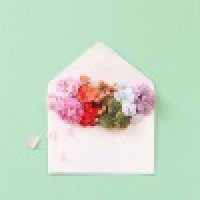 植发星沉默军团1596