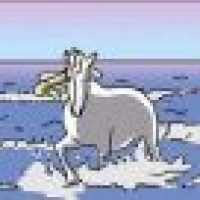 植发星svzdpehh_170531