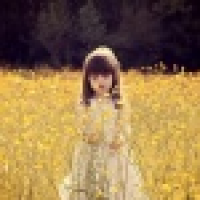 植发星QQ_母猪上树