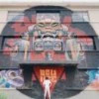 植发星惰惰牌菊花586