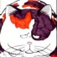 植发星显卡吧eeRM