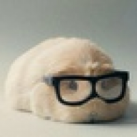 植发星fywzliuzheng