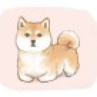 植发星幸福时光585