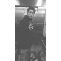 植发星塔是猪213