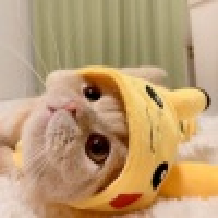 植发星我是王中的女王