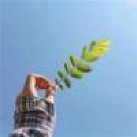 植发星ewodprno_180516