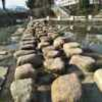 植发星一个不专业博主