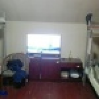 植发星发高烧的鱼