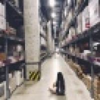 植发星胸毛牙15326