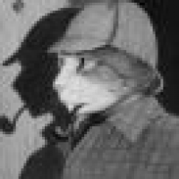 植发星快乐生活942