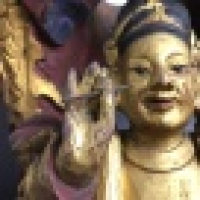 植发星留下的矮墙