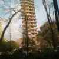 植发星慕君胃桌6