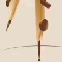 植发星乐观的随便就好