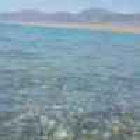 植发星狗璐luli磖yF夀