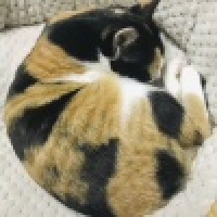 植发星我爱十七Hf