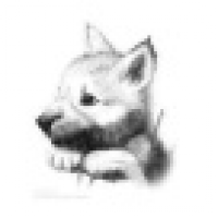 植发星最好的时代