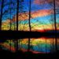 植发星糕负衰KING