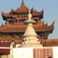 植发星Existence 空