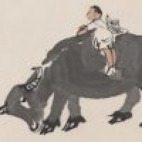 植发星ballance1媈嘜