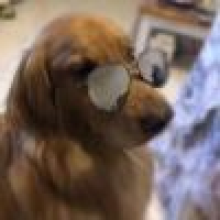 植发星LIYUJIA8889